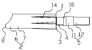 Lossless seedlings transplanting tool