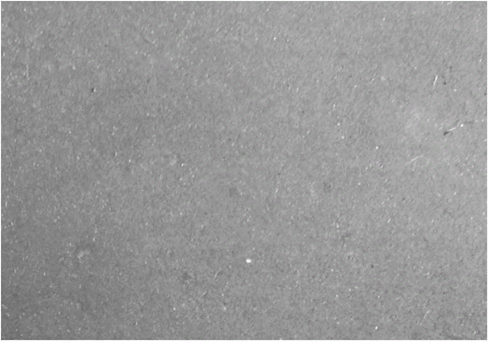 Water-based anti-high temperature oxidation protective coating and its application and production method of titanium ingot