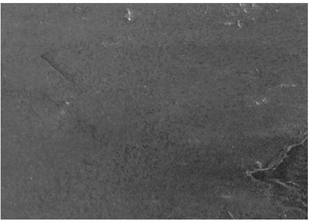 Water-based anti-high temperature oxidation protective coating and its application and production method of titanium ingot