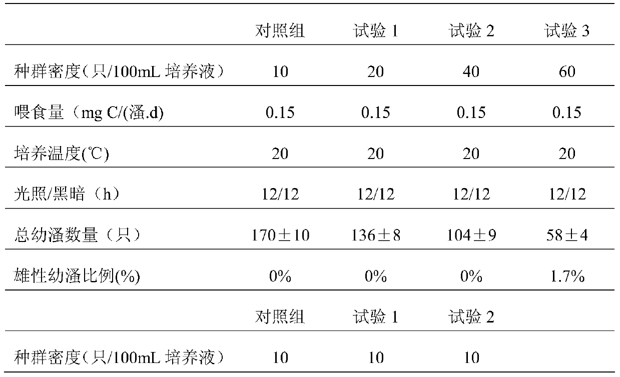 A method for quick identification of the sex of large fleas and young fleas