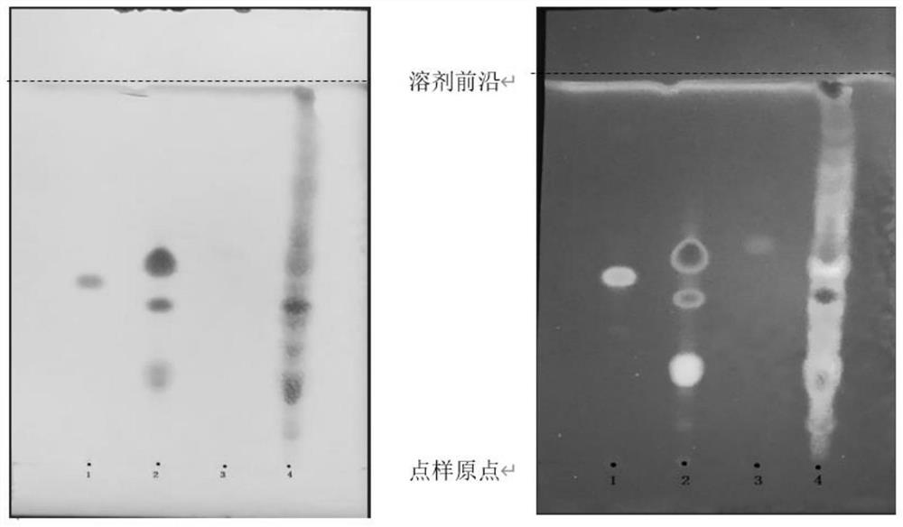 Thin-layer identification method for vitality-preserving soup and similar formula extracts and preparations thereof