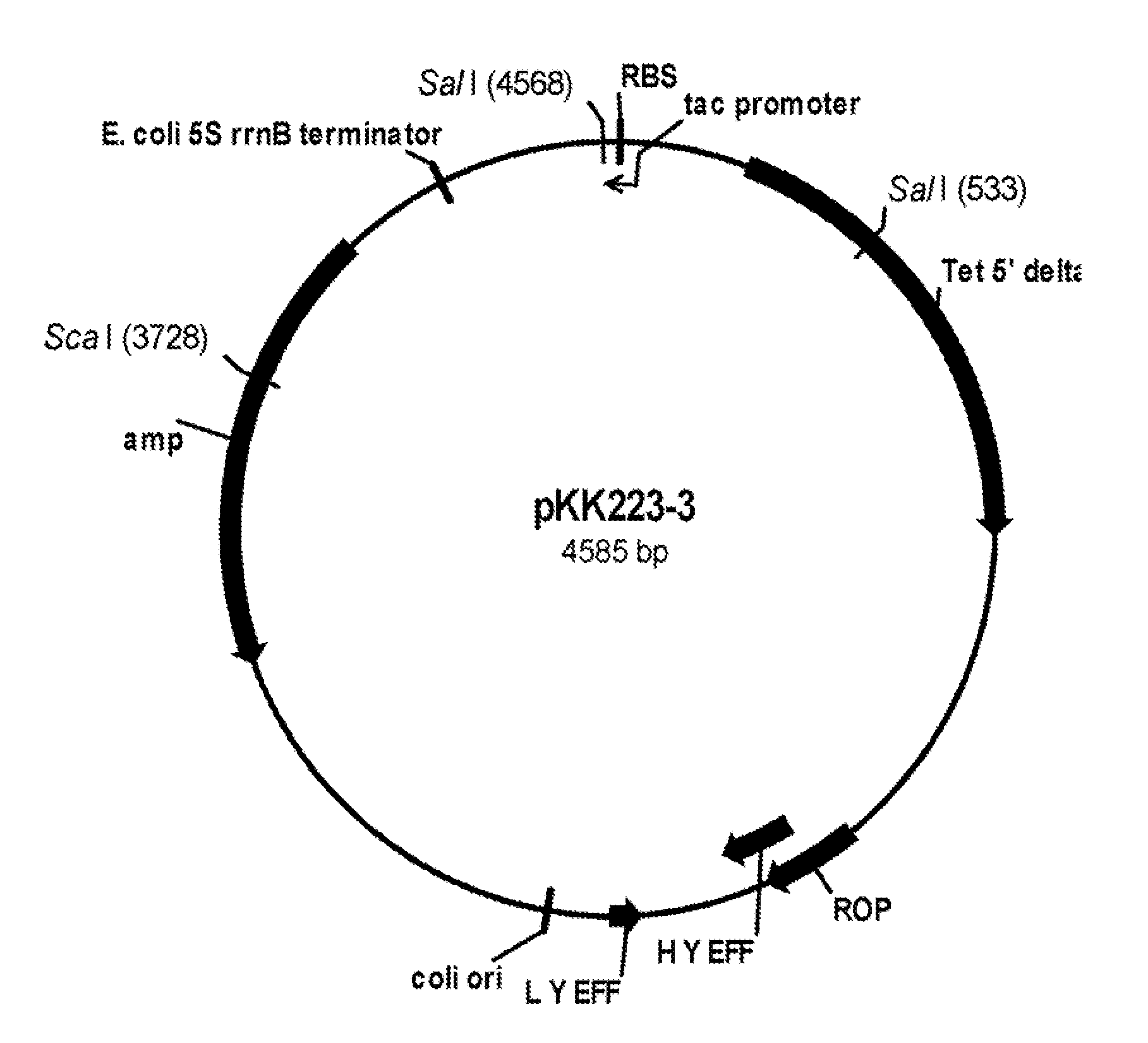 Polypeptides With Starch Debranching Activity