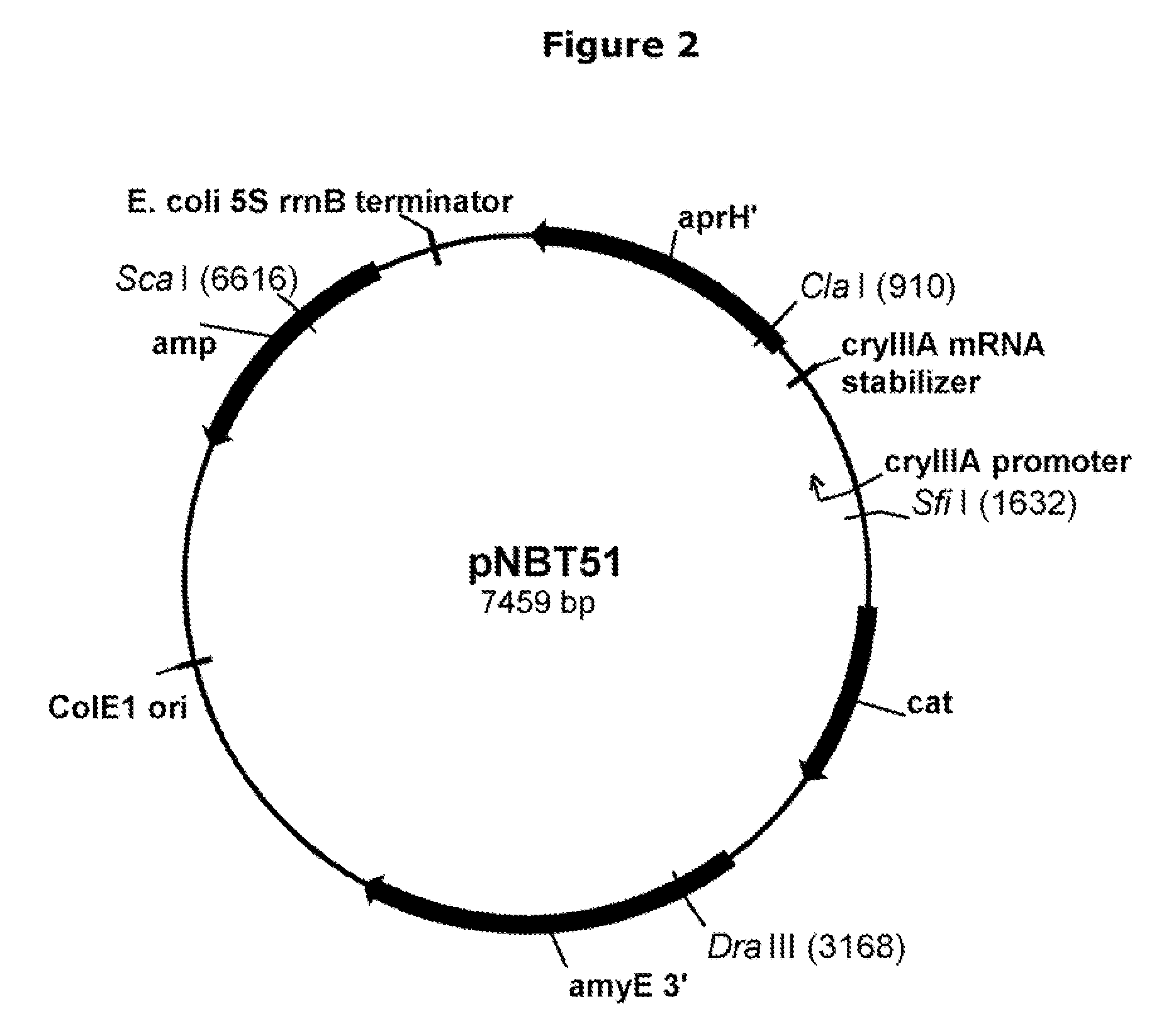 Polypeptides With Starch Debranching Activity