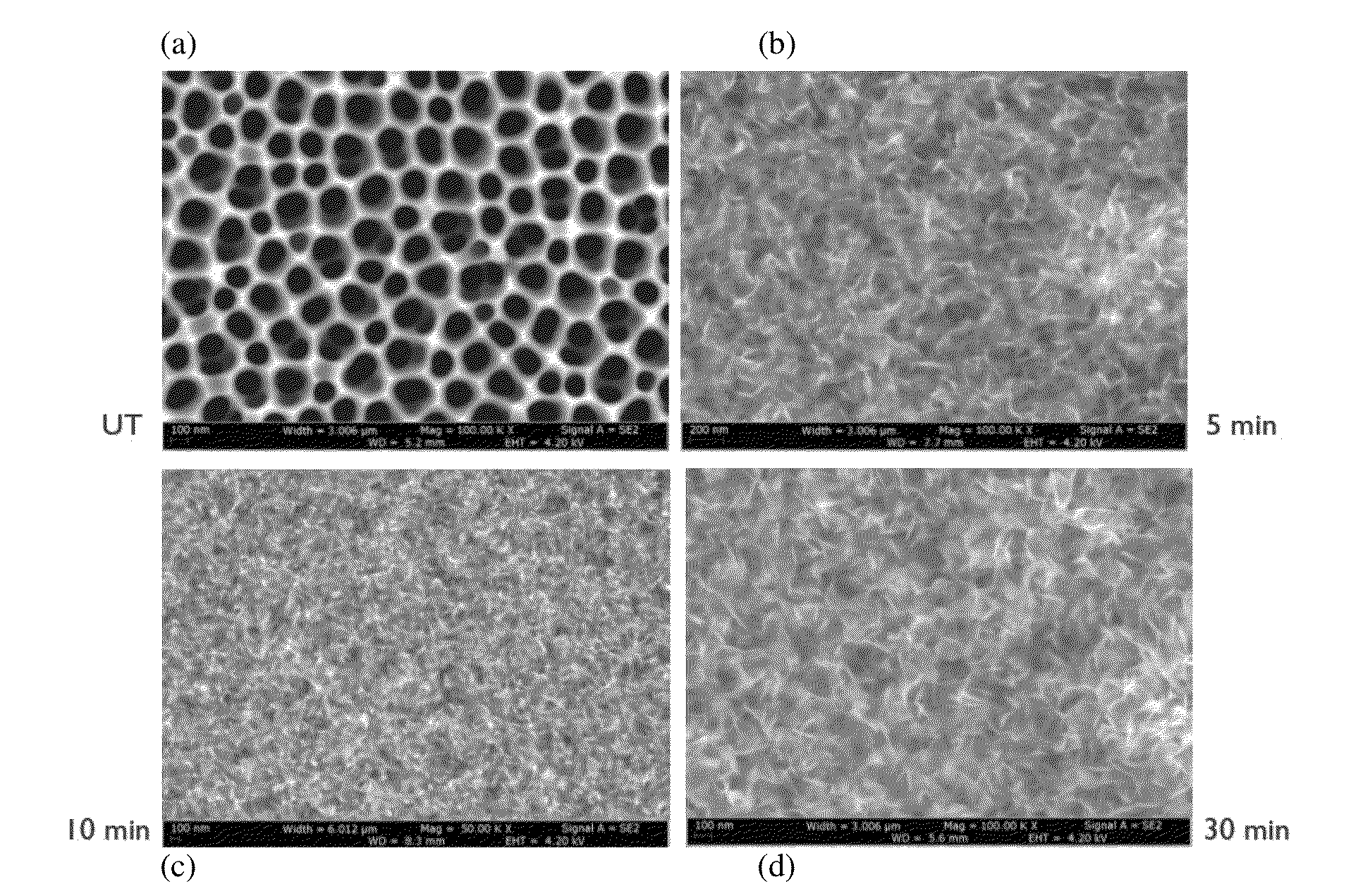 Porous materials and methods including nanoporous materials for water filtration