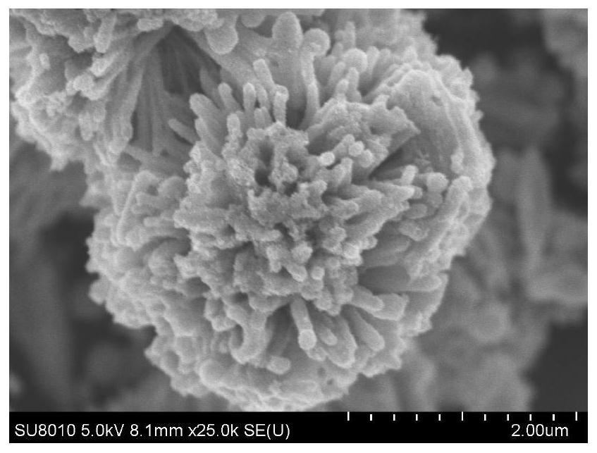 Preparation method of nano flower-like titanium dioxide@bismuth trisulfide electrode material