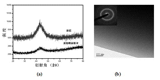 Hydrophobic amorphous alloy coating and preparation method thereof