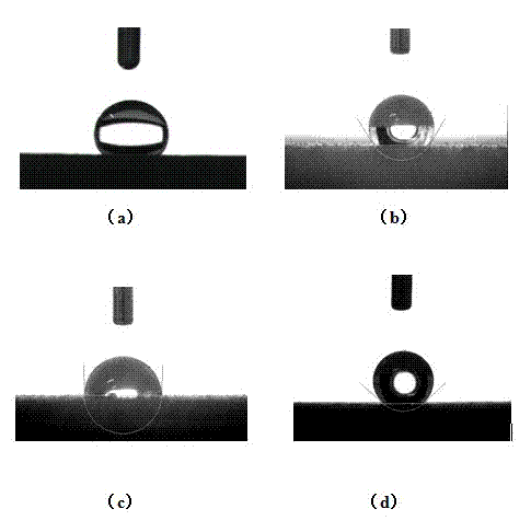 Hydrophobic amorphous alloy coating and preparation method thereof