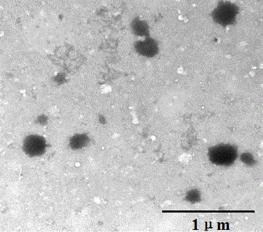 Method for preparing chitosan grafted cetirizine nano-micelles