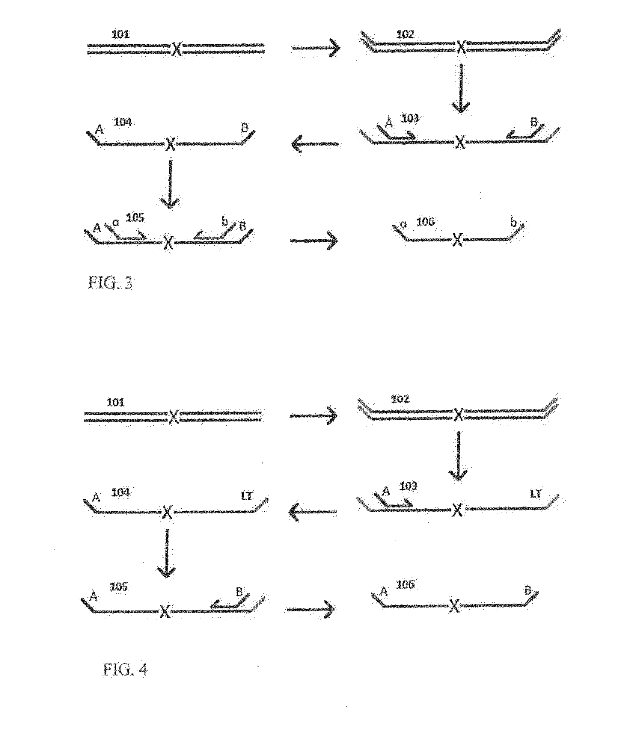 Highly multiplex PCR methods and compositions