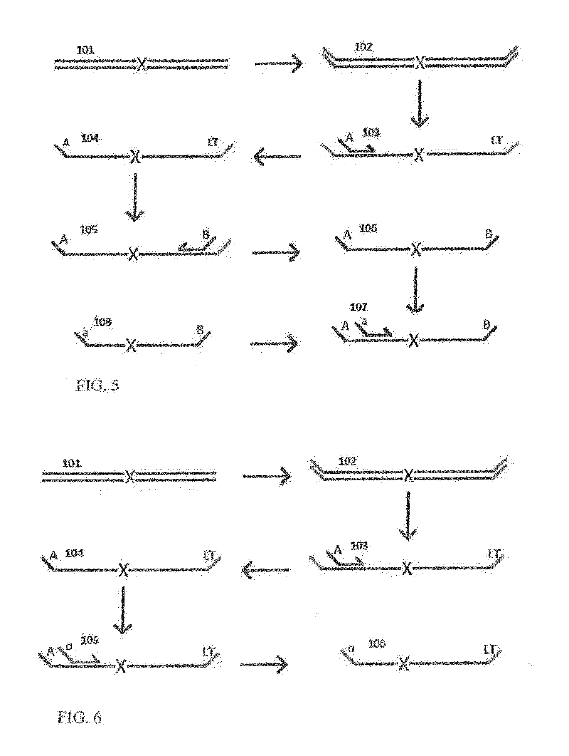 Highly multiplex PCR methods and compositions