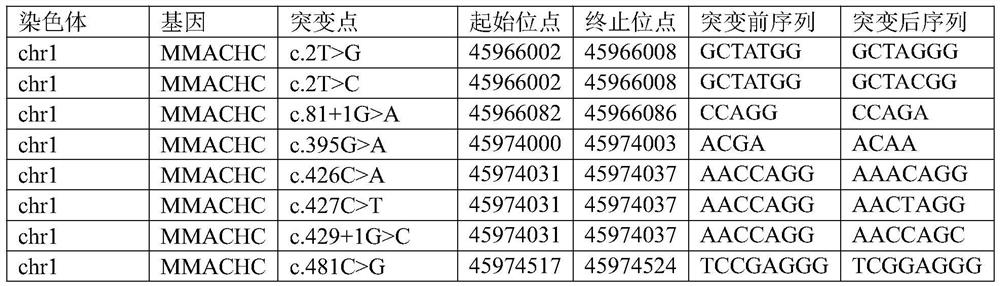 Methylmalonemia related gene MMACHC mutation site and detection method thereof