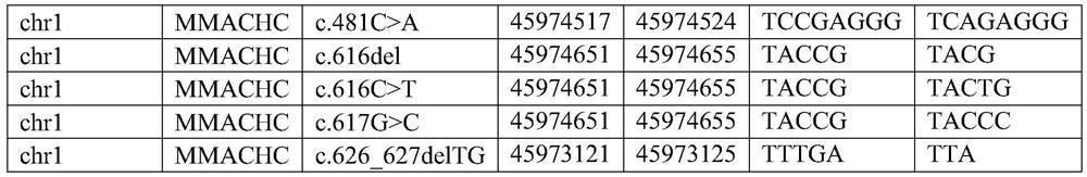 Methylmalonemia related gene MMACHC mutation site and detection method thereof