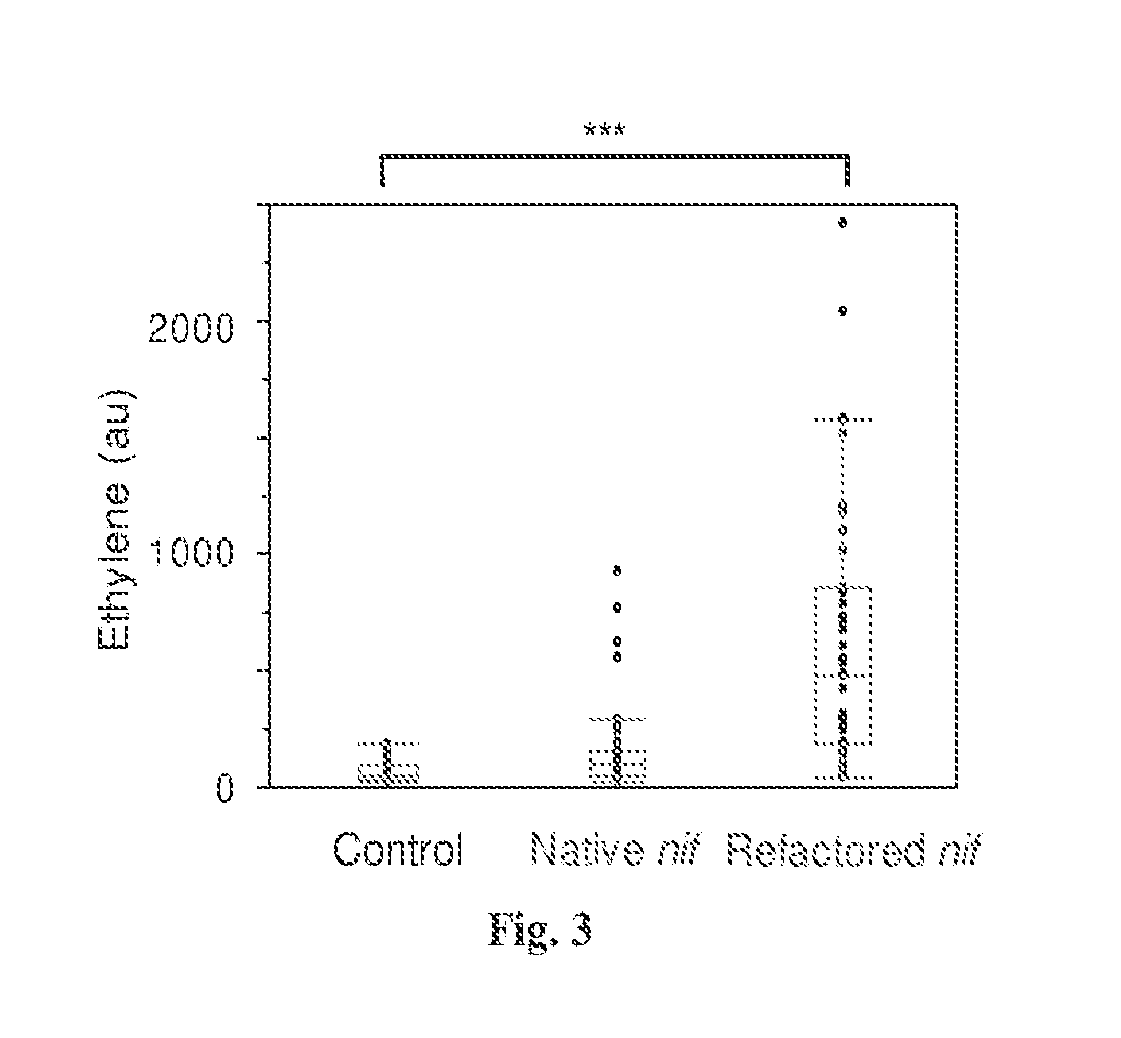 Nitrogen fixation using refactored nif clusters