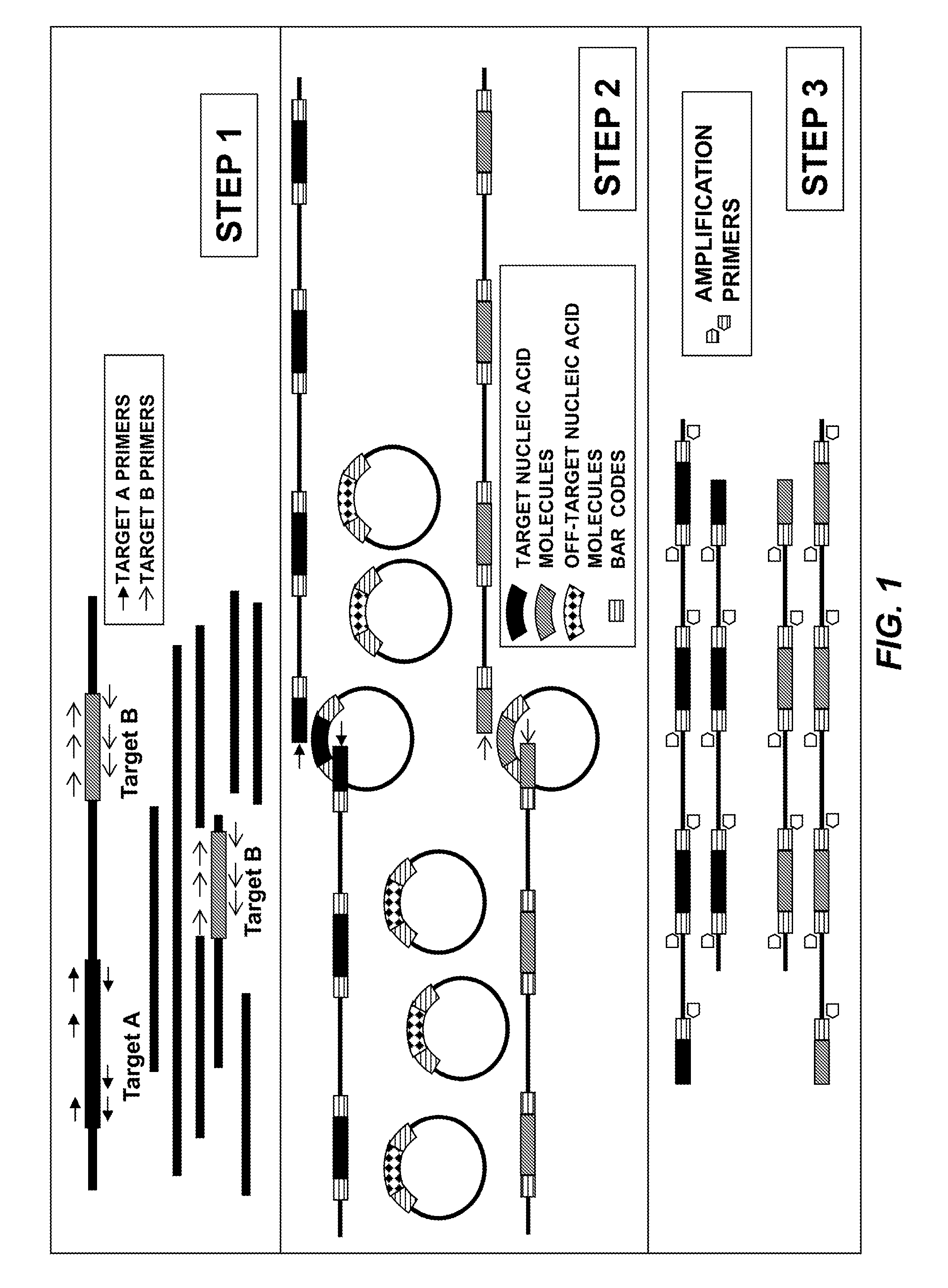 Compositions and methods for sensitive mutation detection in nucleic acid molecules