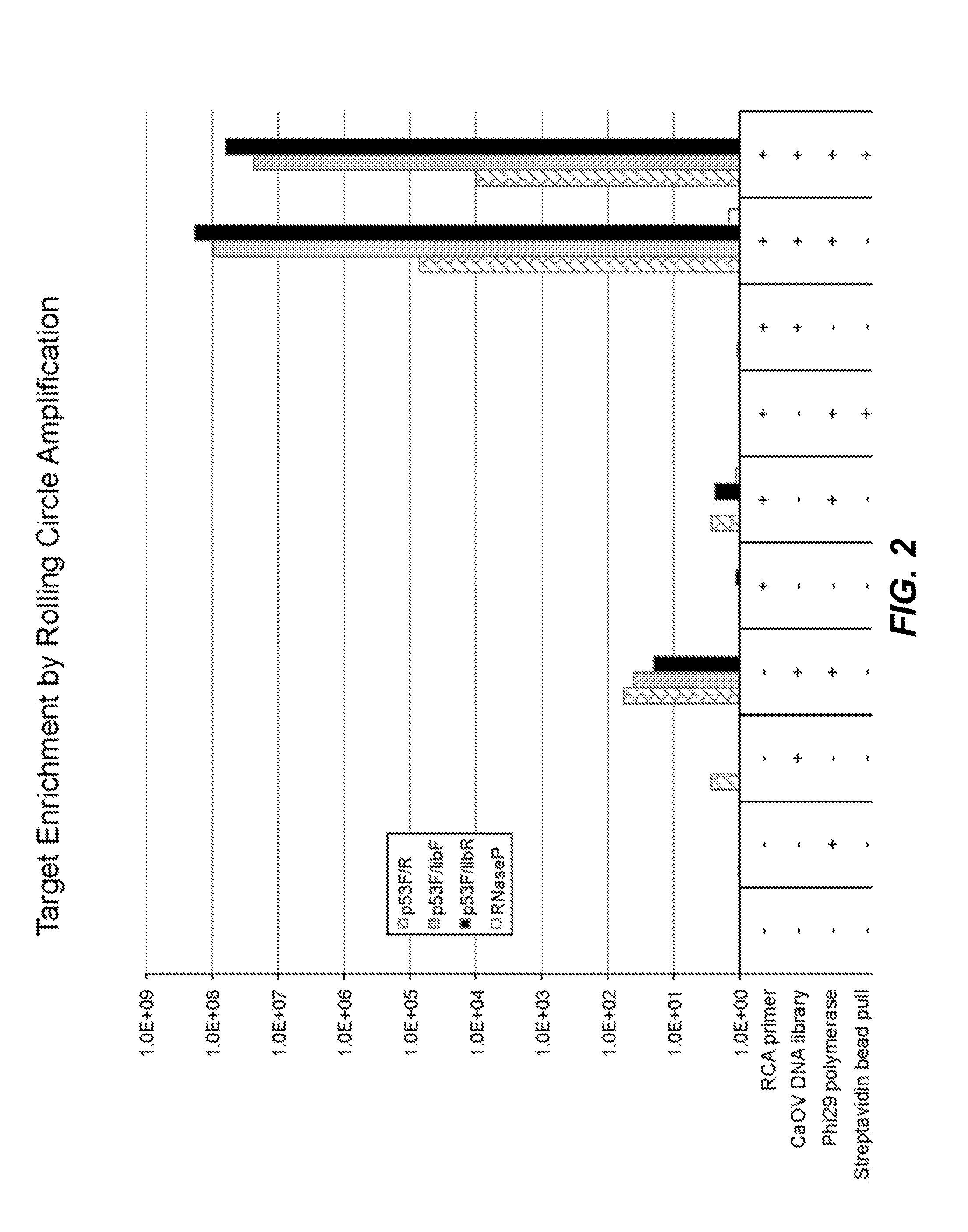 Compositions and methods for sensitive mutation detection in nucleic acid molecules