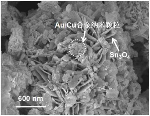 Preparation method of Au/Cu co-modified Sn3O4 nano composite photocatalytic material