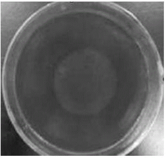 Cellulose-degrading bacteria with phosphate-dissolving capability and application thereof