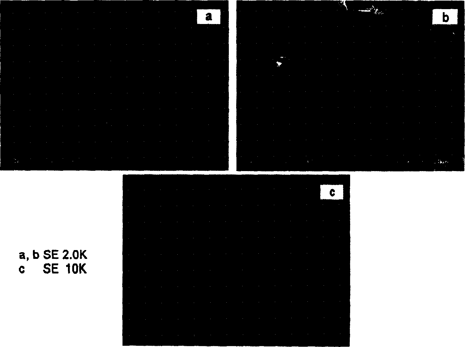 Water soluble anticancer medicine taxol composite and its prepn method