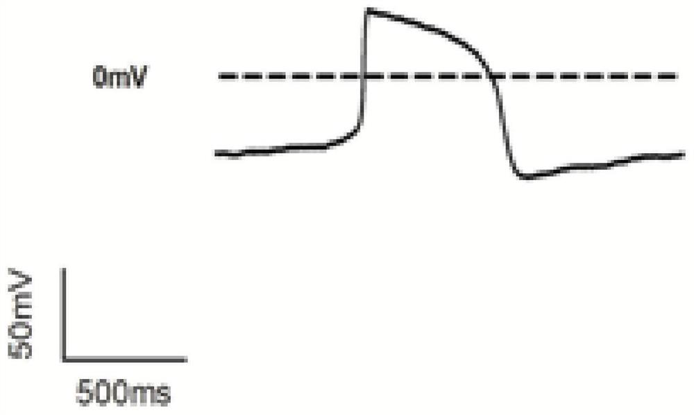 Myocardial cell resuscitation method