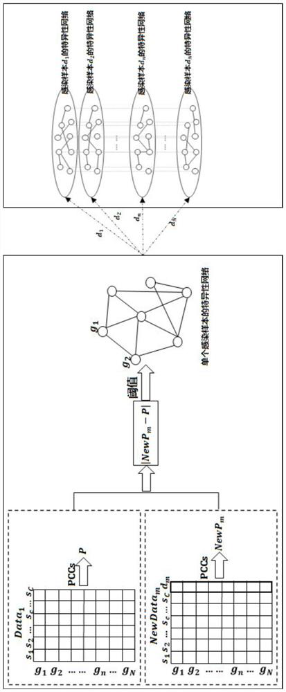 Compound combination screening method based on anti-parasitic infection key genes