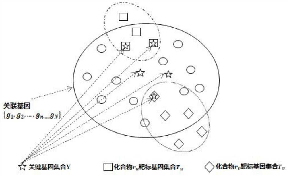 Compound combination screening method based on anti-parasitic infection key genes