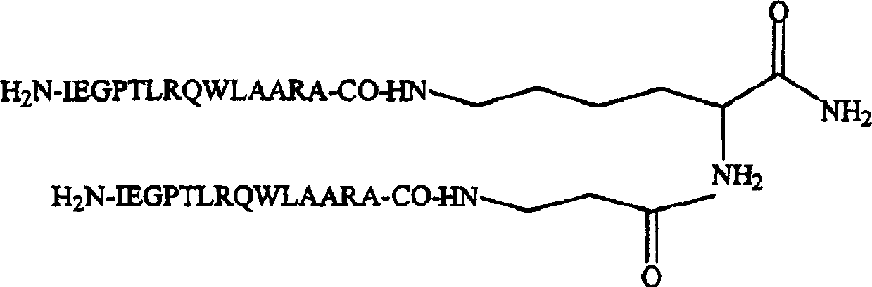 Dimeric thrombopoietin peptide mimetics binding to MP1 receptor and having thrombopoietic activity