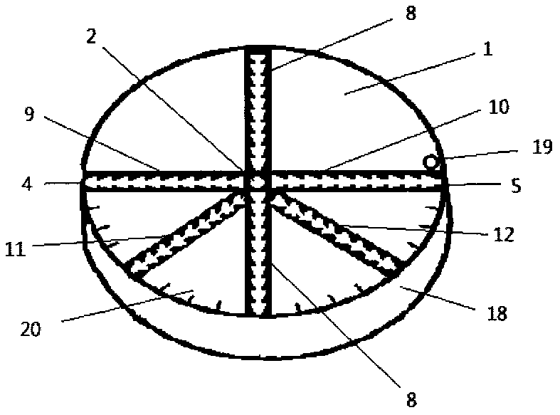 Curve Graphing and Measuring Tools