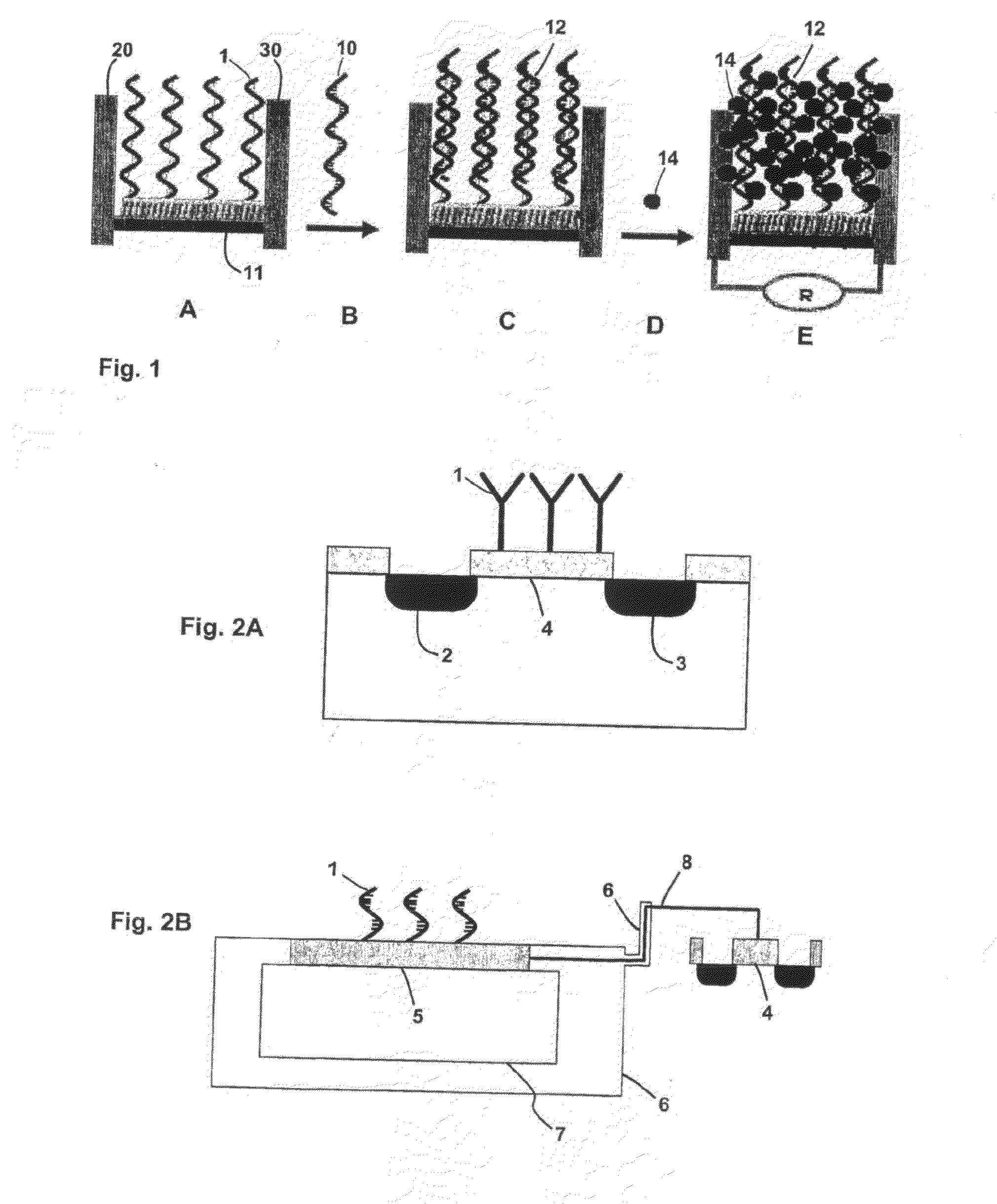 Method of electrically detecting a biological analyte molecule