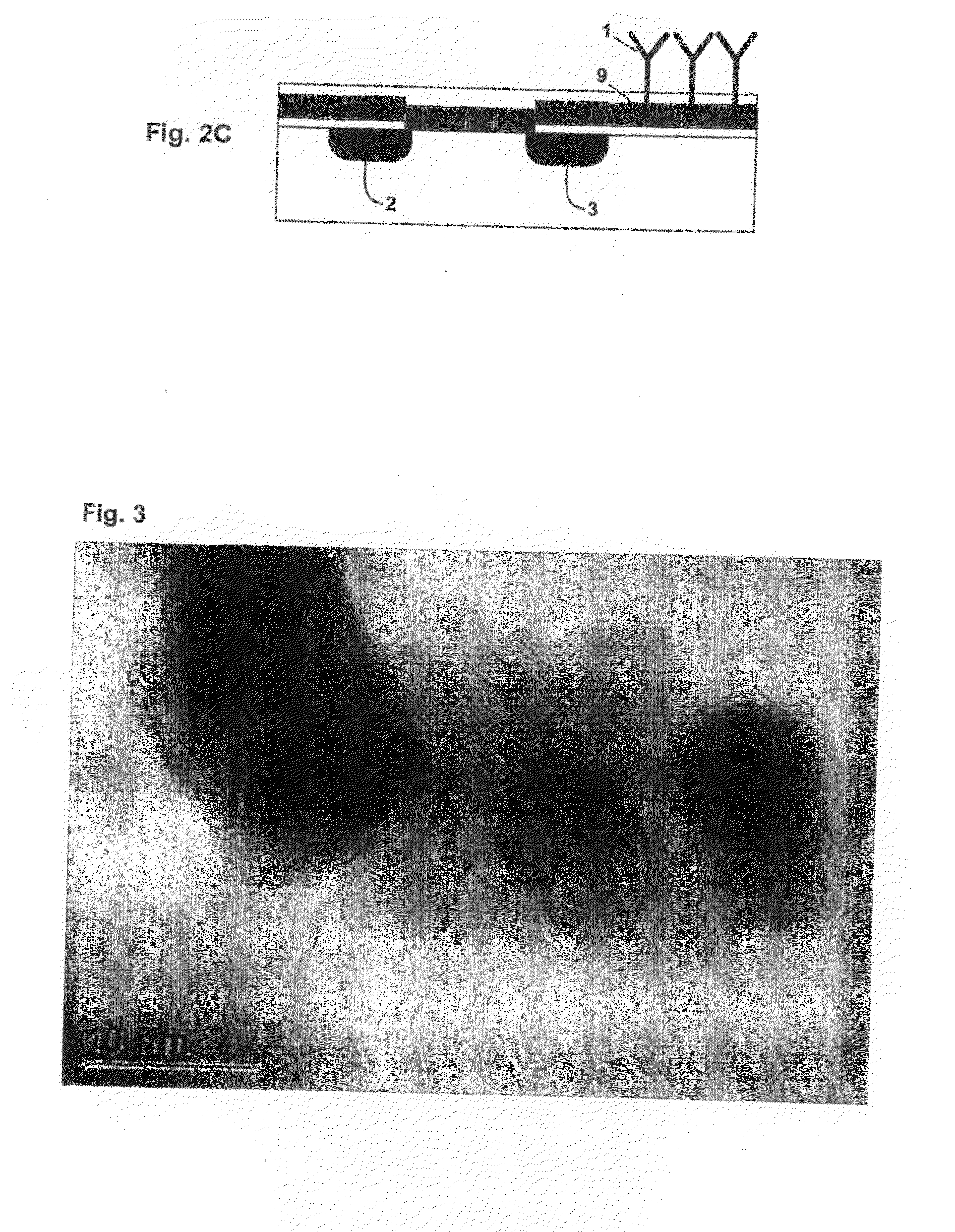 Method of electrically detecting a biological analyte molecule