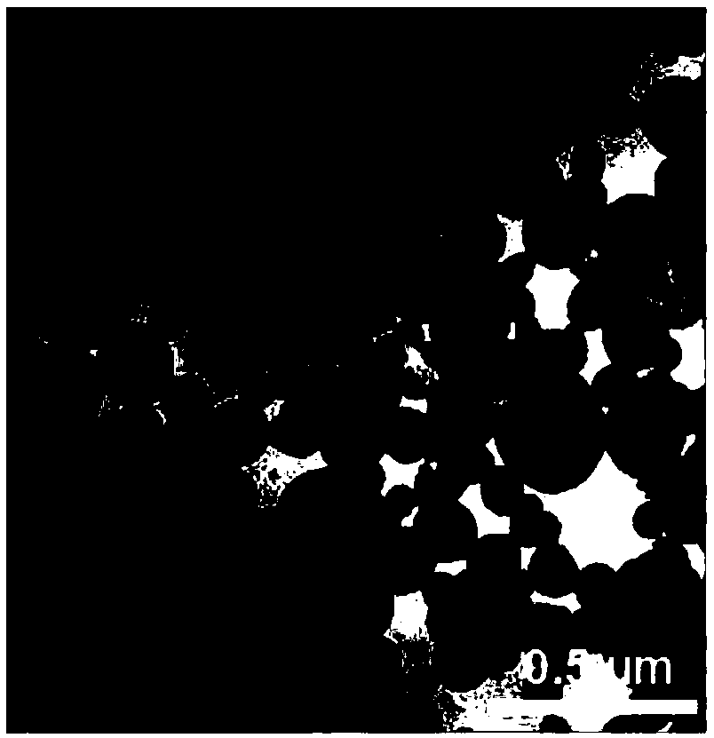 Light-control nano-particle assembly and preparation method and application thereof