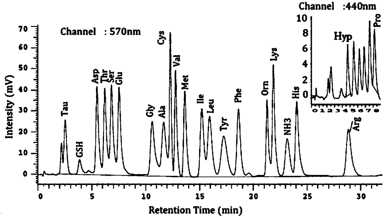 A method for simultaneous determination of glutathione and free amino acids in shellfish