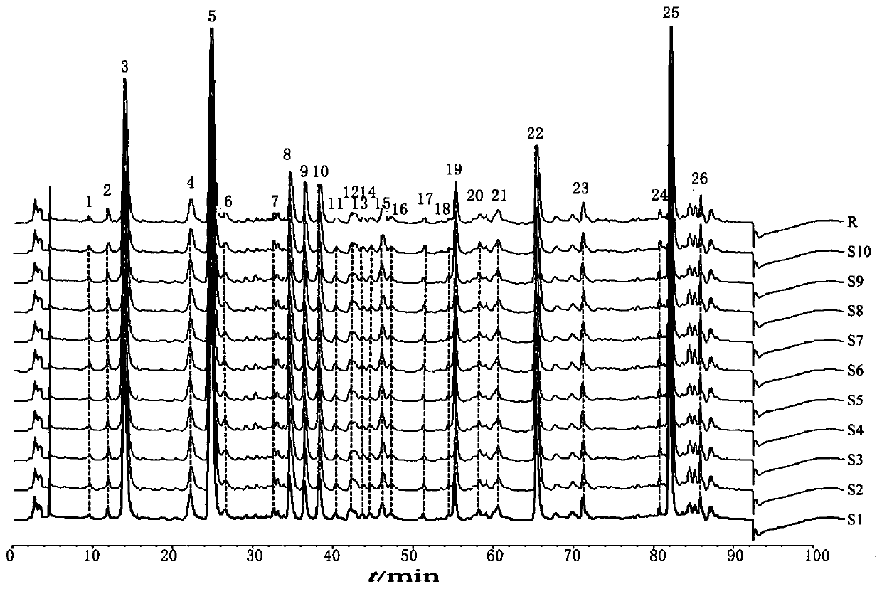 Fingerprint spectrum detection method for meridian warming decoction