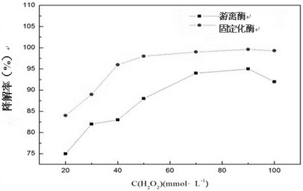 Magnetic-graphene-oxide-immobilized CPO (chloroperoxidase), and preparation method and application thereof