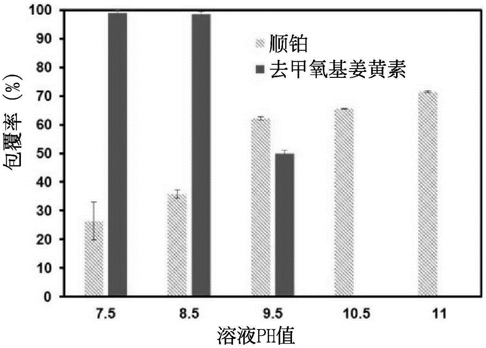 Drug composition and method for preparing the same