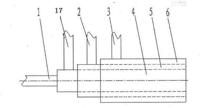 Oxygen-enriched combustion method and device