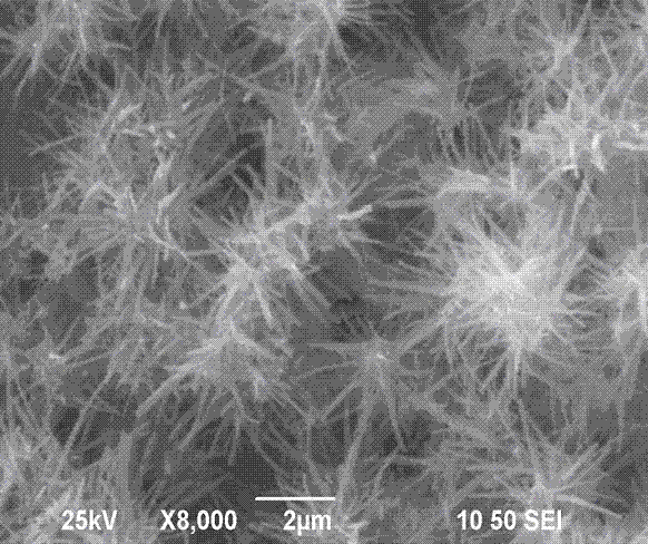 A kind of preparation method of pine needle-shaped zinc oxide gas sensor