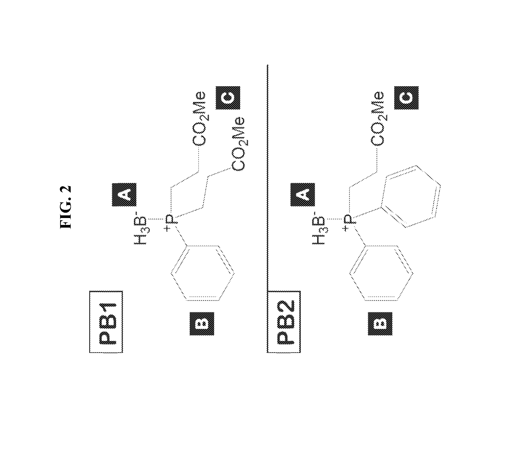 Methods of and compositions for reducing cell death