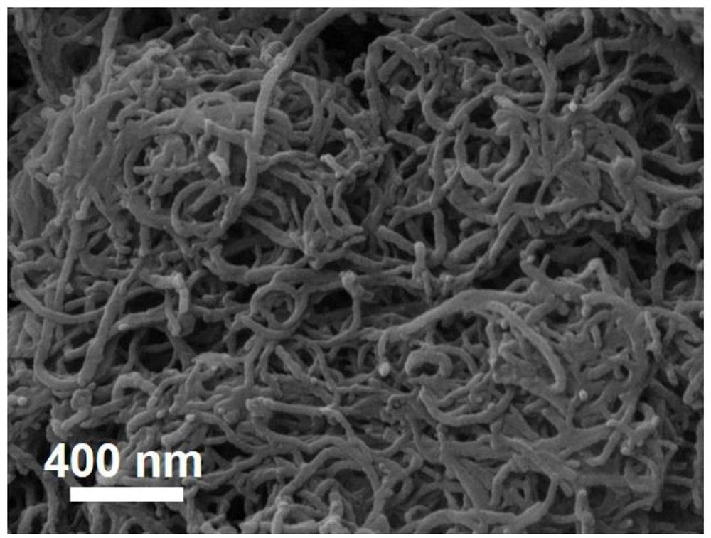 Super-hydrophilic/underwater super-oleophobic copper net and preparation method thereof, and application of super-hydrophilic/underwater super-oleophobic copper net in separation of emulsified oil-in-water