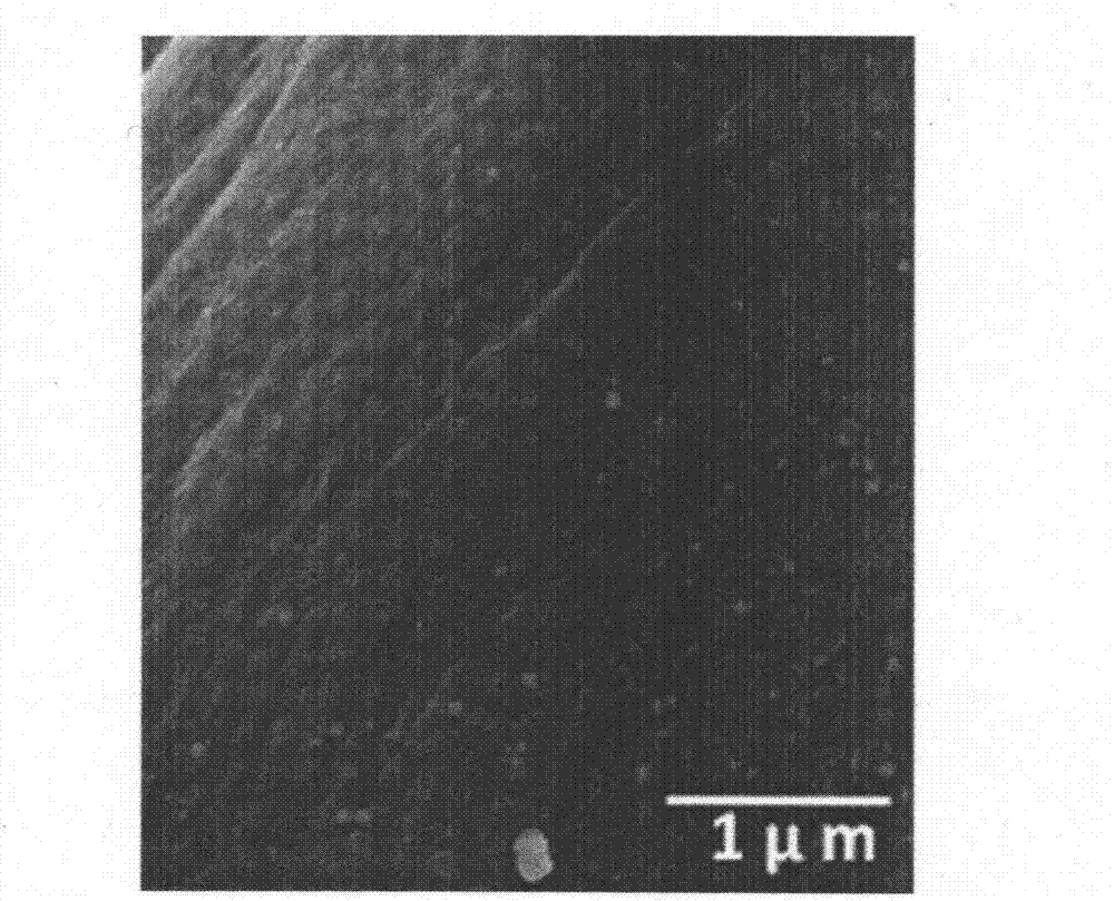 Cellulose fiber-supported nano silver antibacterial material and preparation method thereof