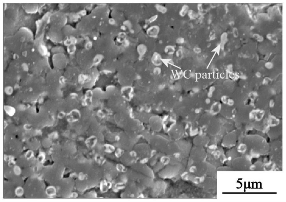 A Method for Promoting Intragranular Distribution of Fine Particles During Laser Shock Melting