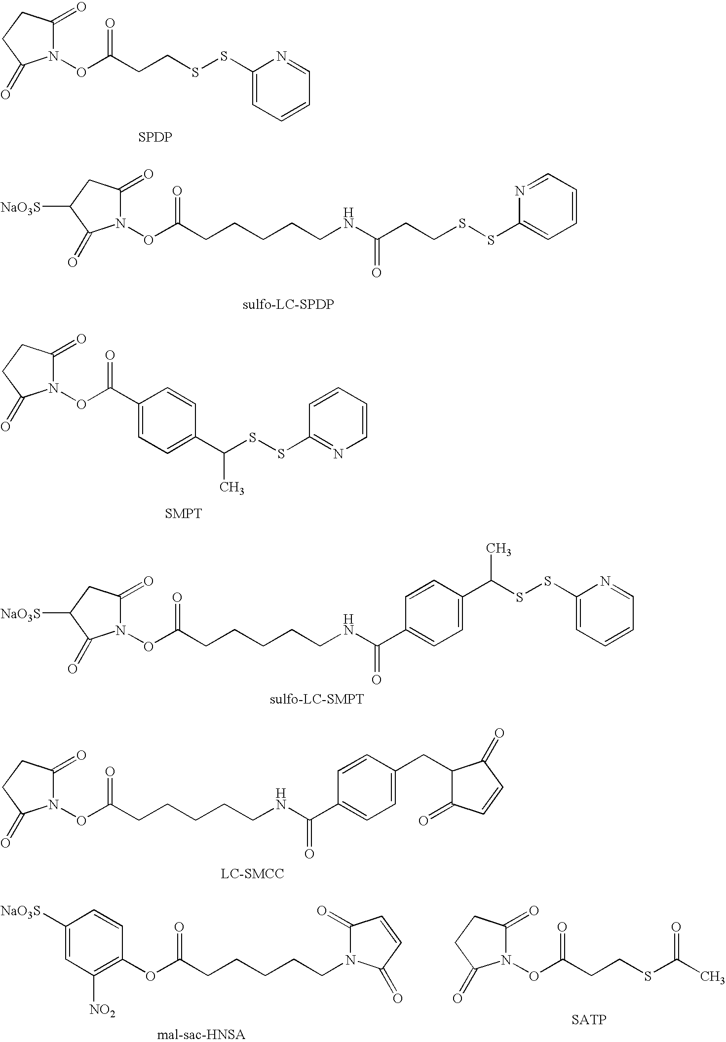 Compounds and molecular complexes comprising multiple binding regions directed to transcytotic ligands