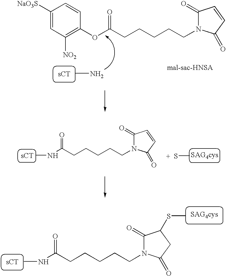Compounds and molecular complexes comprising multiple binding regions directed to transcytotic ligands