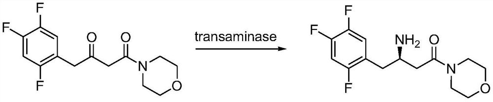 Transaminase mutant, immobilized transaminase and application of immobilized transaminase to preparation of sitagliptin