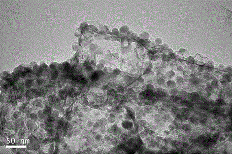 A method for preparing magnetic activated carbon from municipal sludge