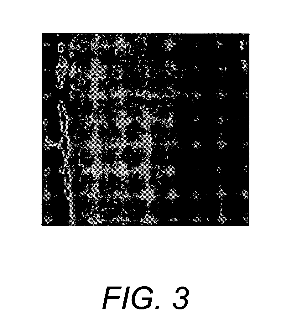 Amorphous cell delivery vehicle treated with physical/physicochemical stimuli