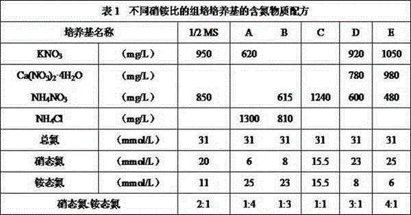 Sugarcane root-promoting and seedling-promoting medium and method for direct field planting of sugarcane tissue culture bottle seedlings