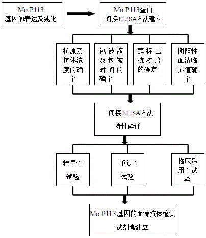 Indirect ELISA kit based on Mo P113 protein and use method
