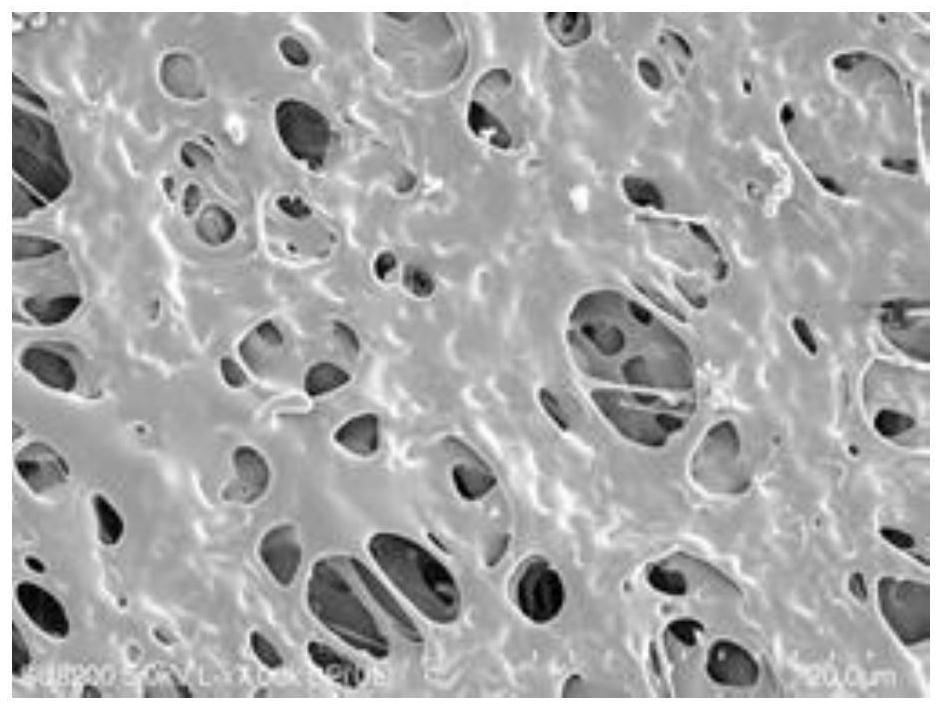 High-molecular polymer wick and high-molecular polymer wick loop heat pipe