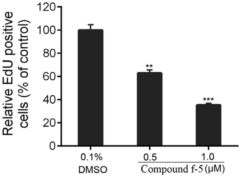 Small molecular compound for inhibiting activity of AKT and STAT3 and application of small molecular compound