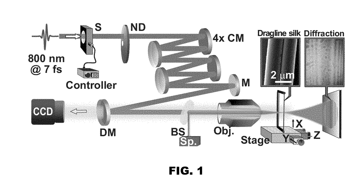 Nanoprocessing and heterostructuring of silk